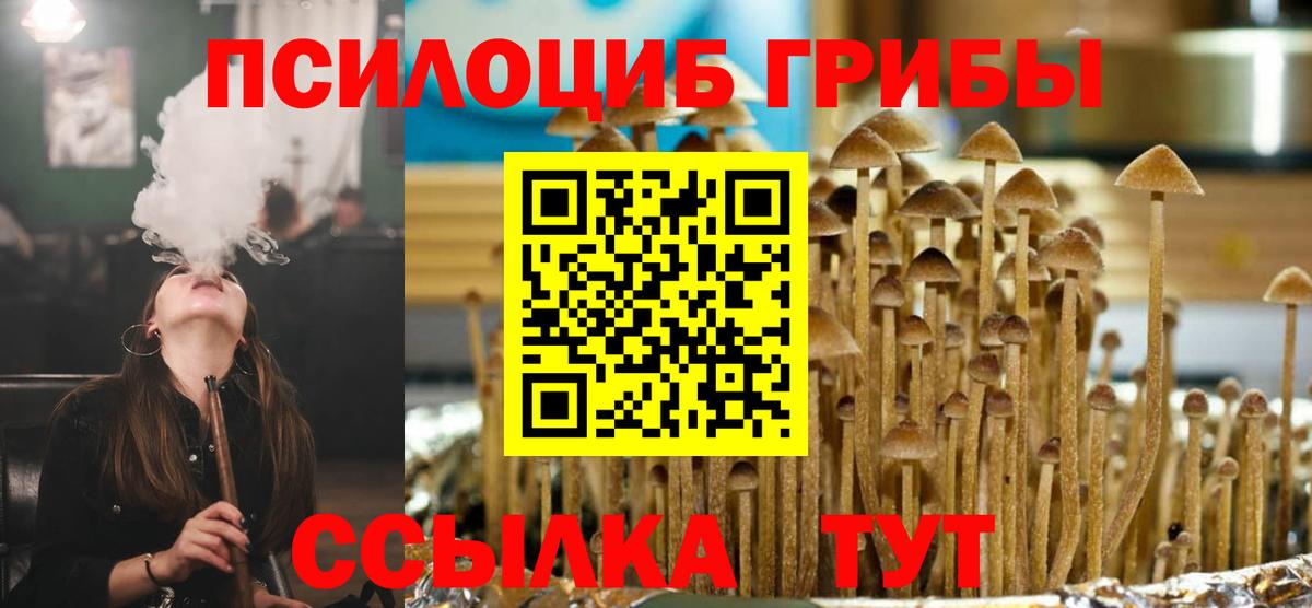 Хасавюрт  Галлюциногенные грибы Cubensis  Вход с VPN 